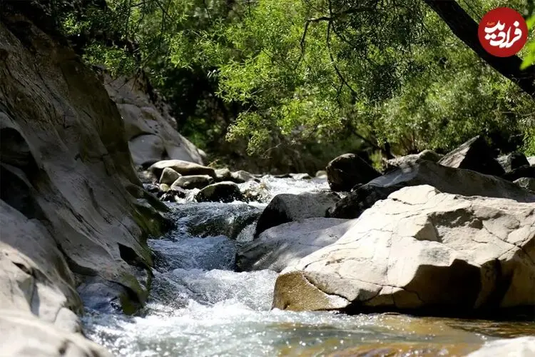 چال ماهی تهران کجاست؟ /راهنمای سفر یک روزه به چال ماهی