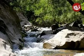 چال ماهی تهران کجاست؟ /راهنمای سفر یک روزه به چال ماهی