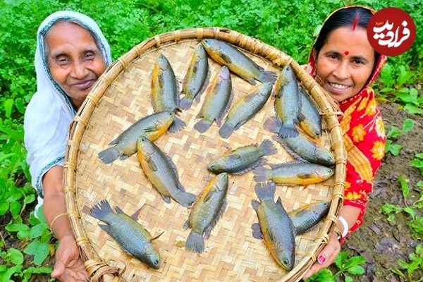 (ویدئو) غذای روستایی در هند؛ پخت غذا با ماهی کوی زرد