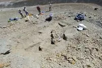 (تصویر) خنده‌دارترین دایناسور جهان کشف شد؛ هیولایی با دست‌های عروسکی!