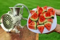 (ویدئو) اگر هندوانه را داخل چرخ گوشت بیندازید، چه اتفاقی می افتد؟