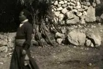 عکس| سفر به ایران قدیم؛ یک قهوه‌خانه بین راهی در یک جاده کوهستانی در ایران؛ یک قرن قبل