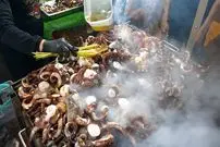 ببینید| غذای خیابانی در مالزی؛ هشت پا کبابی در کوالالامپور