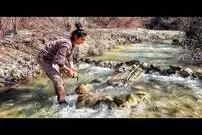 (ویدئو) ساخت یک تله ابتکاری برای صید ماهی با شاخه درخت توسط دختر روستایی