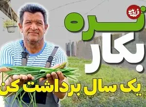 ببینید| آموزش ساده کاشت تره در گلدان و باغچه