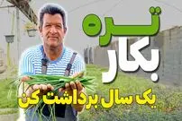 ببینید| آموزش ساده کاشت تره در گلدان و باغچه