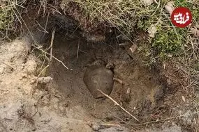 چهار «کوزۀ گنج» که در سال 2025 پیدا شدند