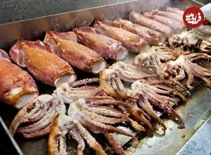 ببینید| غذای خیابانی در کره؛ کباب کردن ماهی مرکب و ماهی ماکرل در سئول