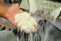 ۱۰ روش مطمئن برای تشخیص برنج مرغوب از تقلبی