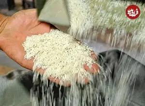 ۱۰ روش مطمئن برای تشخیص برنج مرغوب از تقلبی