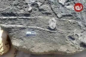 120 هزارسال قبل یک جانور در اینجا «نشیمنگاهش» را بر روی زمین کشیده است