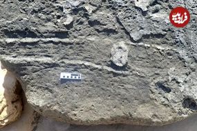 120 هزارسال قبل یک جانور در اینجا «نشیمنگاهش» را بر روی زمین کشیده است