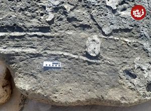 120 هزارسال قبل یک جانور در اینجا «نشیمنگاهش» را بر روی زمین کشیده است