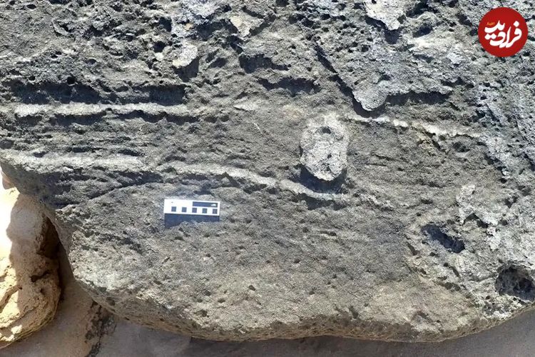 120 هزارسال قبل یک جانور در اینجا «نشیمنگاهش» را بر روی زمین کشیده است