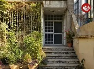 تصاویر؛ آپارتمان سبز و قهوه‌ای که مثل یک آلبوم عکس قدیمی مهربان است