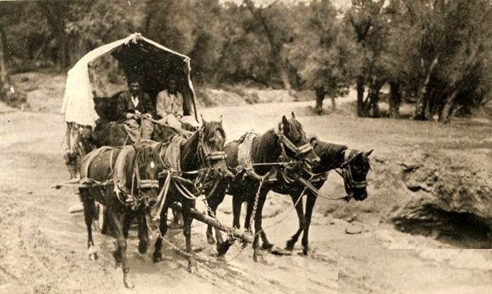 قدیمی‌ترین تصاویر از جاده چالوس؛ جاده محبوب ایرانی ها
