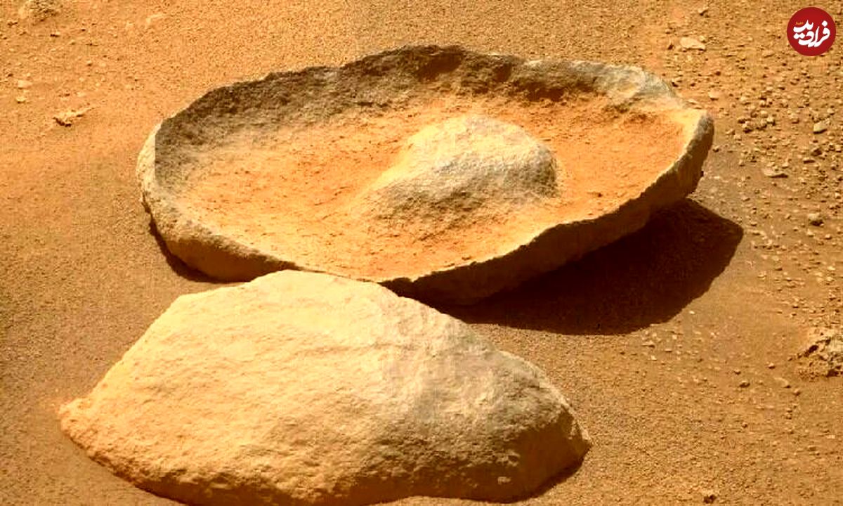 در مریخ آووکادو پیدا شد؛ شگفتی جدید سیاره سرخ
