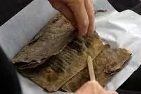 پیدا شدن قدیمی‌ترین کتاب نروژ که جلد آن از «پوست فُک» ساخته شده است 