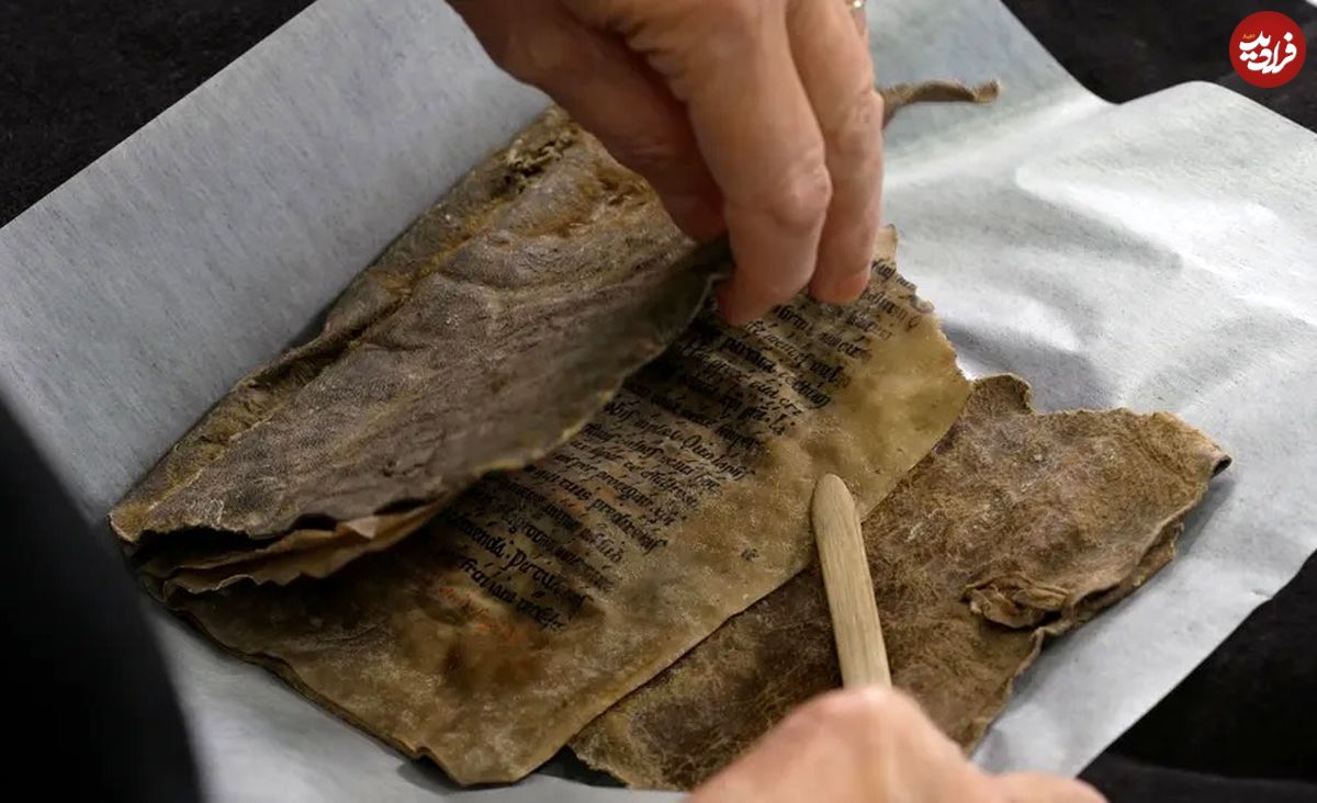 پیدا شدن قدیمی‌ترین کتاب نروژ که جلد آن از «پوست فُک» ساخته شده است 