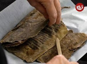 پیدا شدن قدیمی‌ترین کتاب نروژ که جلد آن از «پوست فُک» ساخته شده است 