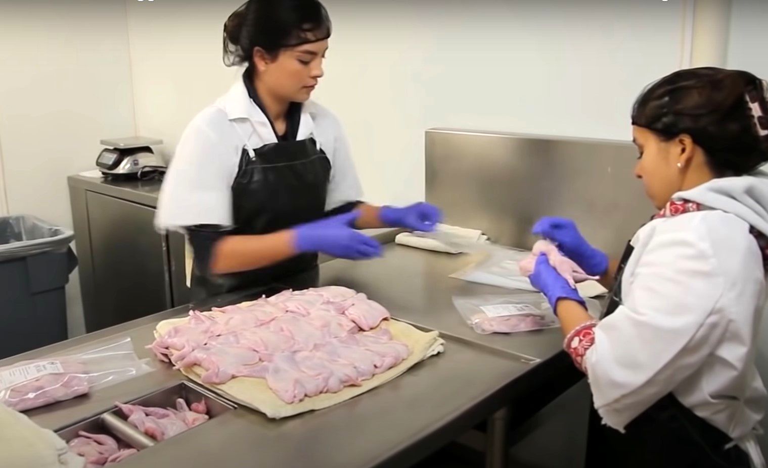 (ویدئو) مراحل پرورش میلیون ها بلدرچین در آمریکا؛ بسته بندی گوشت بلدرچین در کارخانه