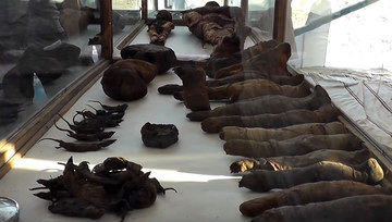 (تصاویر) کشف اجساد مومیایی‌شده پرندگان و حیوانات در مقبره ۲۰۰۰ ساله در مصر