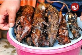 ببینید؛ غذای خیابانی در ویتنام؛ موش کبابی در بامبو در هانوی