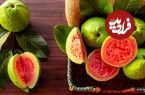 خواص شگفت انگیز میوه گواوا برای سلامتی که احتمالا نمی دانستید