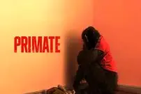 نقد فیلم سینمایی Primate | بی ارزش، با ظاهر فریبنده