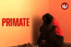 نقد فیلم سینمایی Primate | بی ارزش، با ظاهر فریبنده