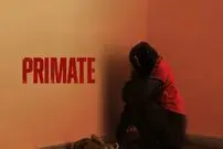نقد فیلم سینمایی Primate | بی ارزش، با ظاهر فریبنده