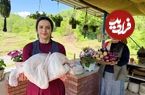 ببینید؛ غذای روستایی در ایران؛ پخت  غذا با بوقلمون، بادمجان و برنج