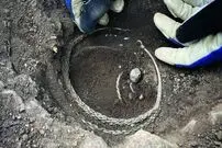 گنج وایکینگی با سکه‌هایی از «ایران» از زیر خاک بیرون آمد
