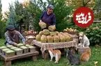 ببینید| غذای روستایی در آذربایجان؛ مراحل دیدنی پخت نان اسفناج