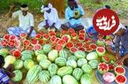ببینید؛ غذای روستایی در هند؛ برداشت 500 کیلو هندوانه و تهیه آب هندوانه در طبیعت