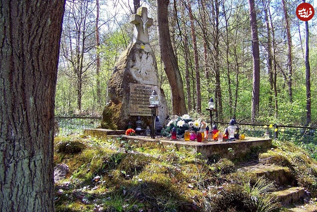 (تصویر) کشف یک نشان کمیاب «اژدهای پرنده» در لهستان