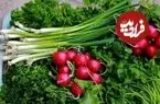 راز تازه ماندن سبزی خوردن تا ۲ هفته؛ این روش ساده جلوی پلاسیده شدن آن را می‌گیرد