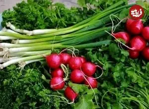 راز تازه ماندن سبزی خوردن تا ۲ هفته؛ این روش ساده جلوی پلاسیده شدن آن را می‌گیرد