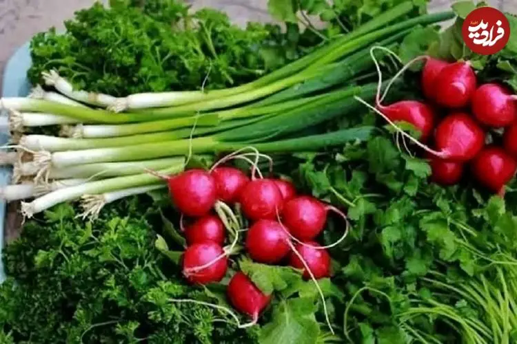 راز تازه ماندن سبزی خوردن تا ۲ هفته؛ این روش ساده جلوی پلاسیده شدن آن را می‌گیرد