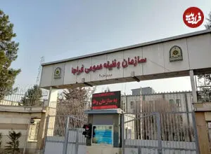 سازمان وظیفه عمومی فراجا اطلاعیه داد