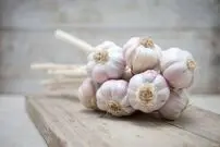 سیر و پیاز هم بی‌خطر نیستند
