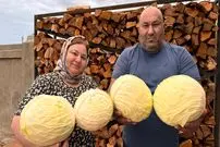 ببینید| غذای روستایی در روسیه؛ تهیه سالاد کلم و خوراک مرغ توسط زوج داغستانی