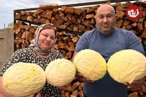 ببینید| غذای روستایی در روسیه؛ تهیه سالاد کلم و خوراک مرغ توسط زوج داغستانی