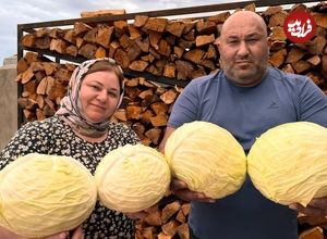 ببینید| غذای روستایی در روسیه؛ تهیه سالاد کلم و خوراک مرغ توسط زوج داغستانی