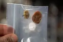 رازگشایی از عکس عجیبی که ناسا منتشر کرد!