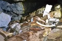کشف یک غار ترسناک حاوی ۴۰۰ کیلوگرم استخوان باستانی