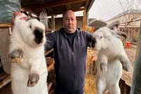 ببینید| غذای روستایی در روسیه؛ کباب خرگوش و گوجه روی آتش