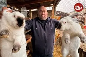 ببینید| غذای روستایی در روسیه؛ کباب خرگوش و گوجه روی آتش