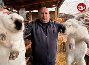 ببینید| غذای روستایی در روسیه؛ کباب خرگوش و گوجه روی آتش