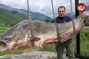 ببینید| غذای روستایی در آذربایجان؛ کباب کردن گربه ماهی در تنور زیر زمینی